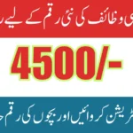 Benazir Taleemi Wazaif Stipend New Registration For 4500 Complete Details